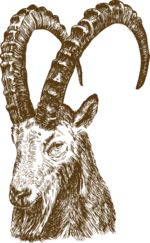 Logo-AlpenGastehaus-Steinbockkopf